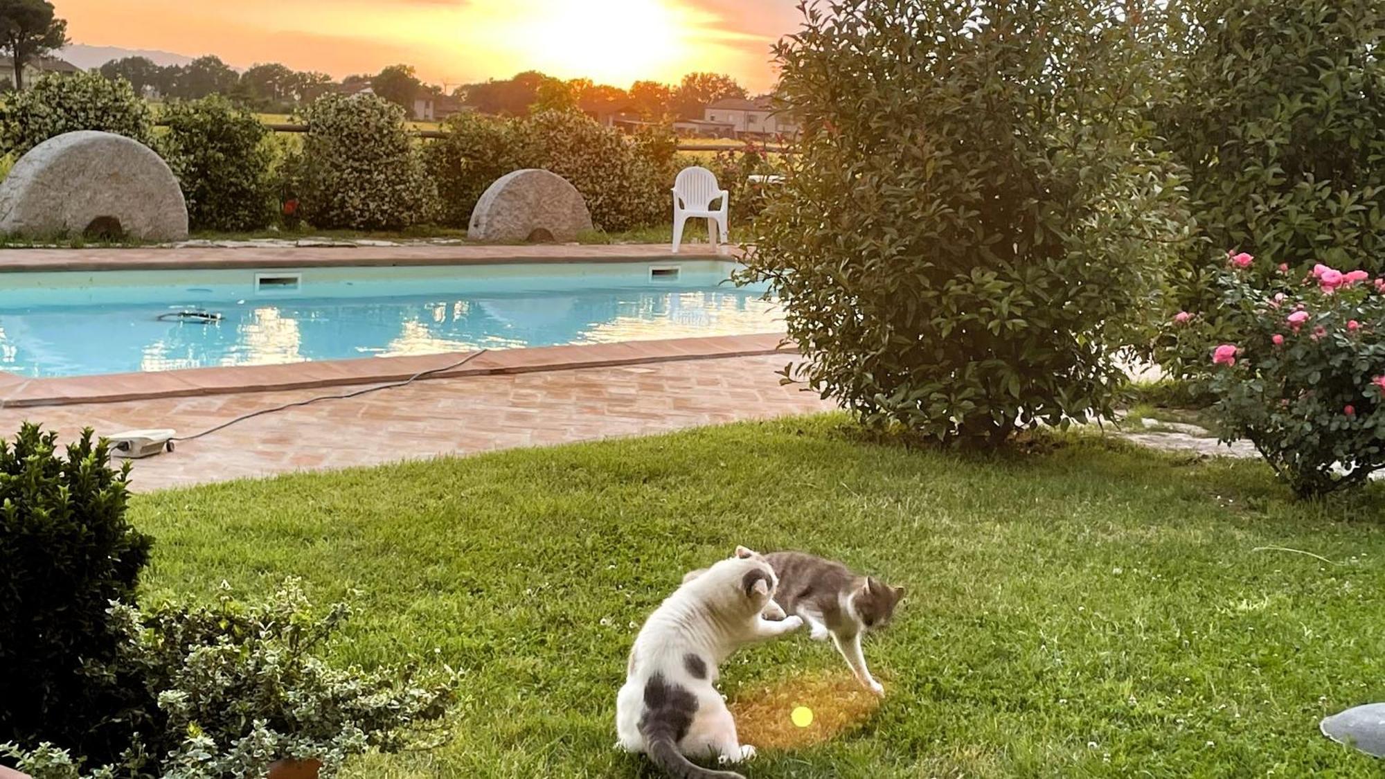 Antiche Dimore San Felice Spello Dış mekan fotoğraf
